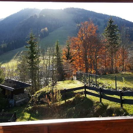 Appartement Unterbergblick كوسن المظهر الخارجي الصورة