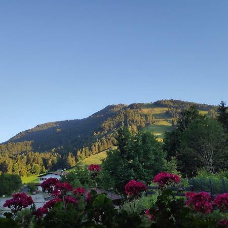 Appartement Unterbergblick كوسن المظهر الخارجي الصورة