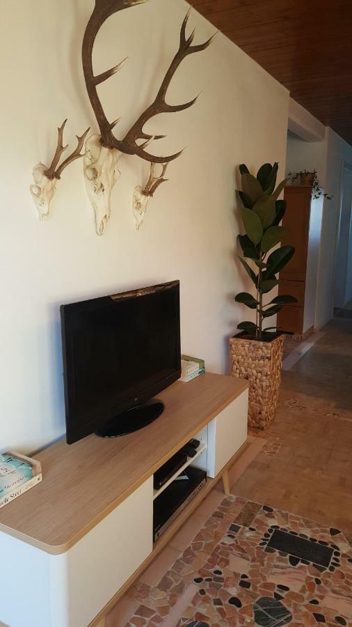 Appartement Unterbergblick كوسن المظهر الخارجي الصورة